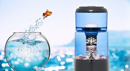 Welche Vorteile haben Wasserfilter