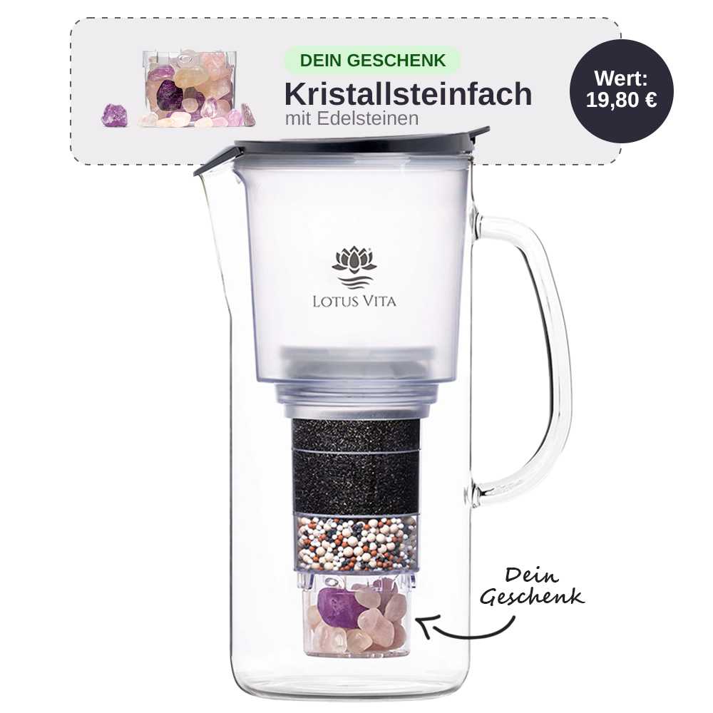 Lotus Vita Glas-Filterkanne Toya mit gratis Kristallsteinfach