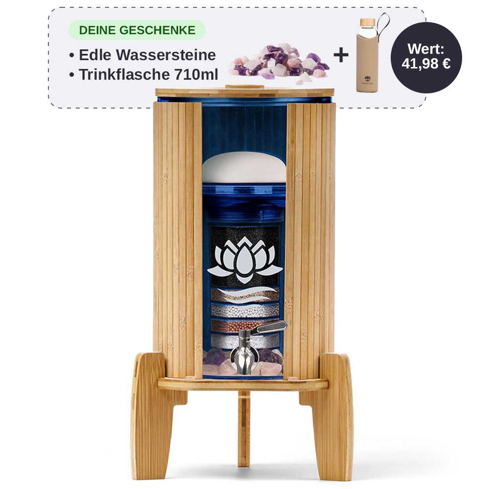 Lotus Vita Wasserspender mit Filter Fontana Kaito Mini 5L mit gratis Wassersteinen und 710ml Trinkflasche