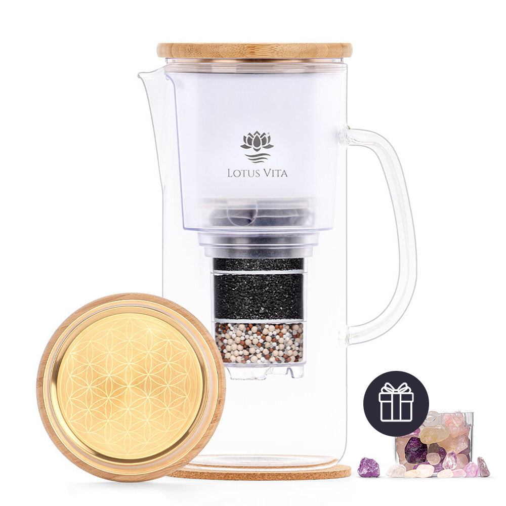 Lotus Vita Glas-Filterkanne Enya Gold-Edition mit gratis Kristallsteinfach