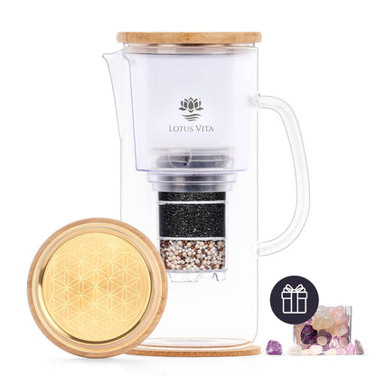 Lotus Vita Glas-Filterkanne Enya Gold-Edition mit gratis Kristallsteinfach