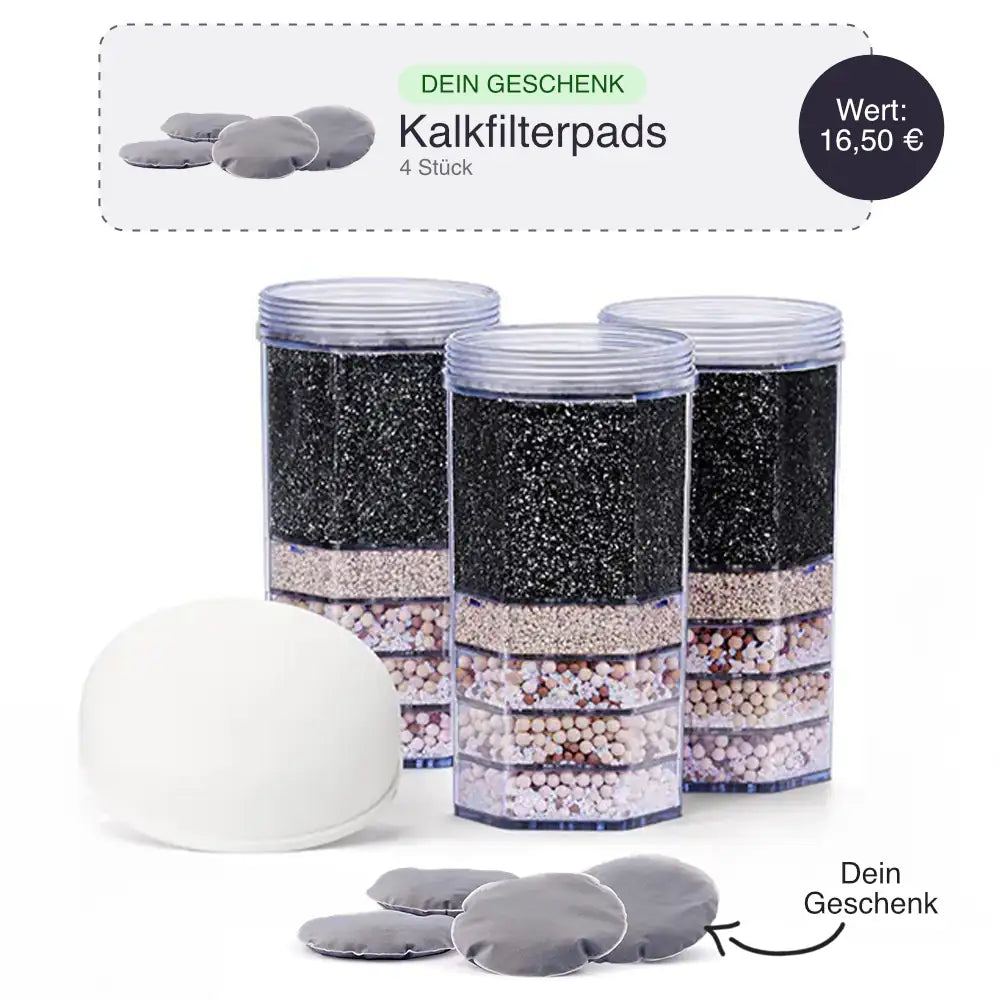 Lotus Vita Ersatzfilter Jahrespaket Pi Premium Mini | Für Fontana Wasserfilter