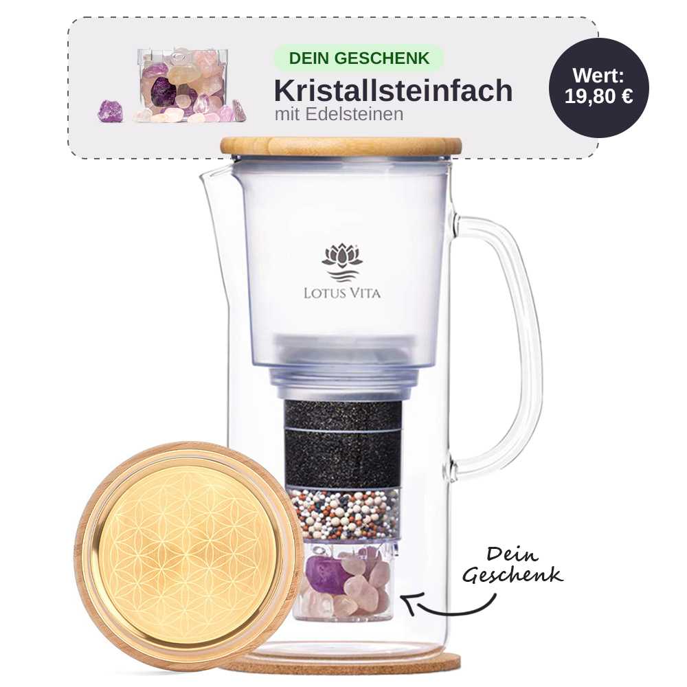 Lotus Vita Enya Filterkanne Gold Edition mit gratis Kristallsteinfach