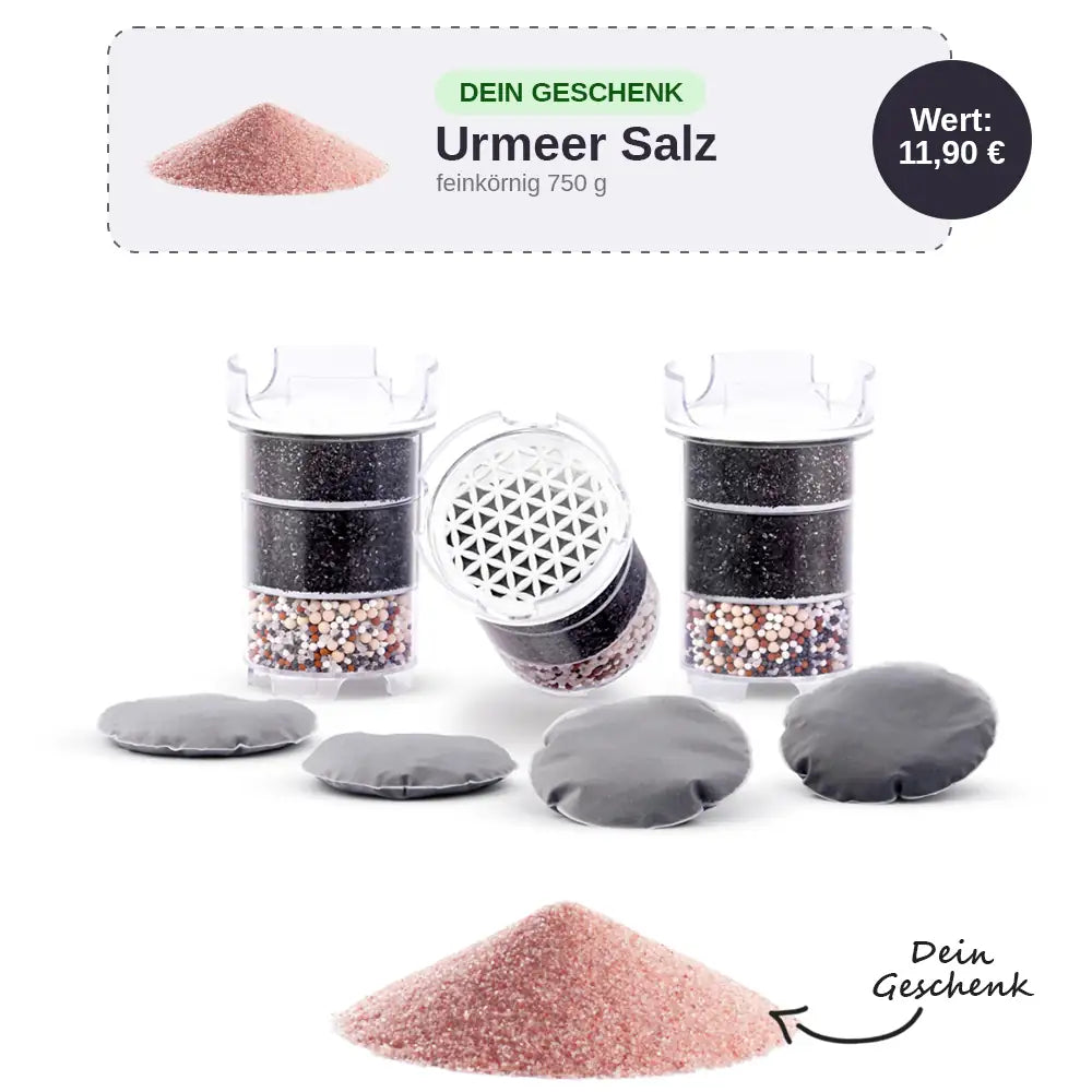 Lotus Vita Ersatzfilter Halbjahrespaket | Für Natura Plus Wasserfilter