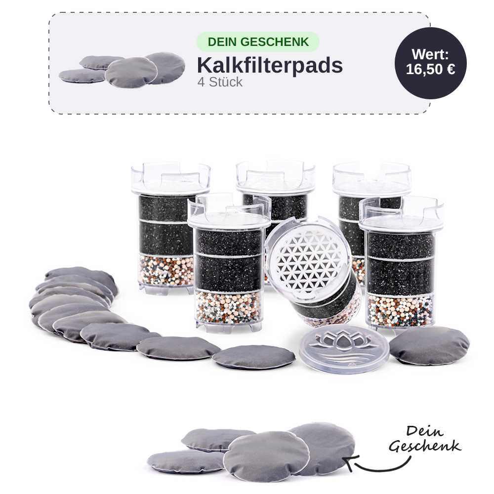 Lotus Vita Ersatzfilter Jahrespaket mit gratis 4x Kalkfilterpads