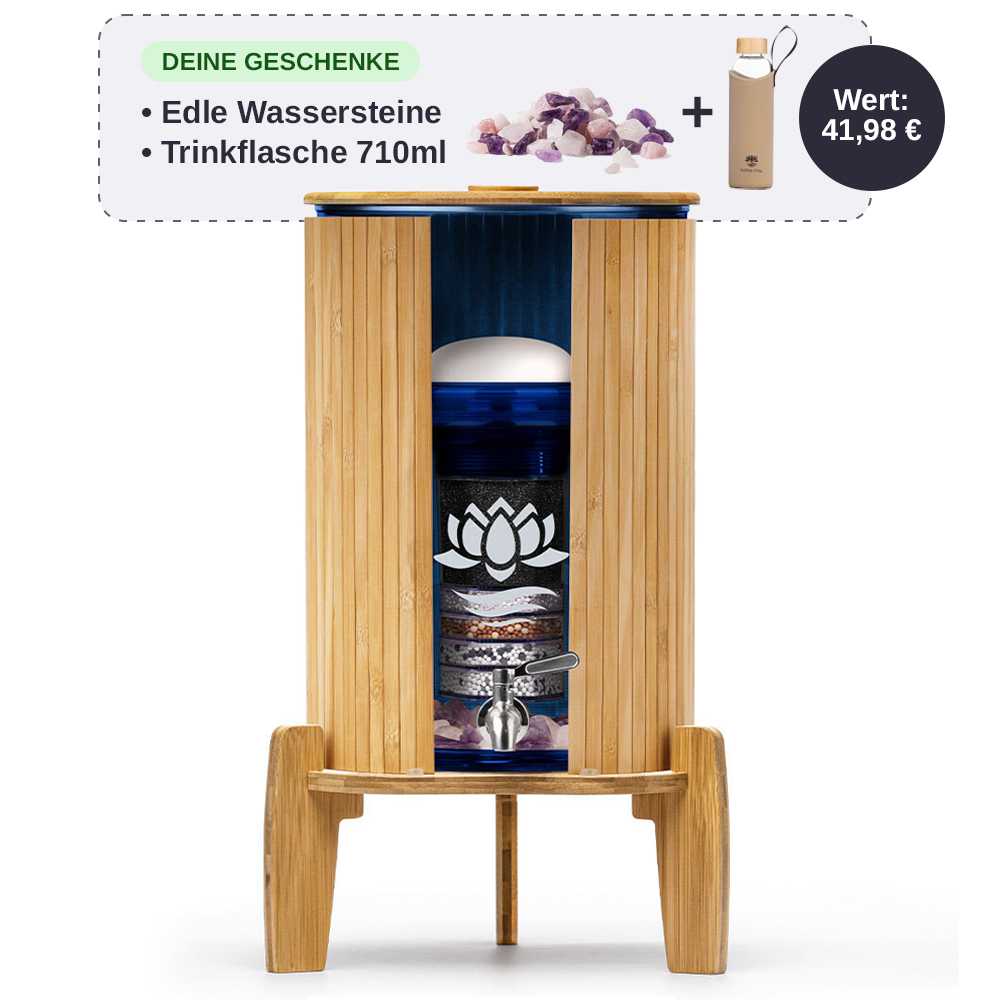 Lotus Vita Wasserspender mit Filter Fontana Kaito 8L mit gratis Wassersteinen und 710ml Trinkflasche