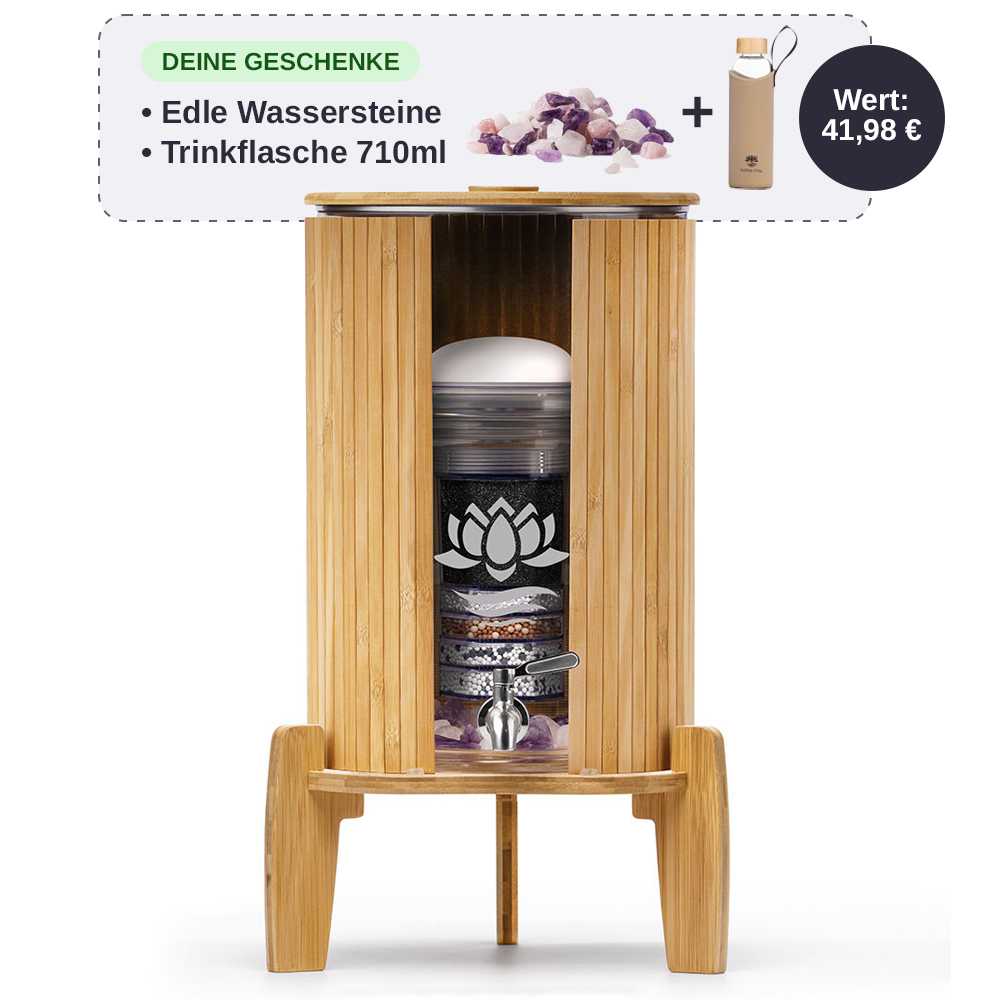 Lotus Vita Wasserspender mit Filter Fontana Kaito 8L mit gratis Wassersteinen und 710ml Trinkflasche