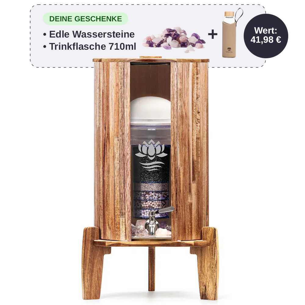 Lotus Vita Wasserspender mit Filter Fontana Kendra 9L mit gratis Wassersteinen und 710ml Trinkflasche