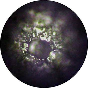 Wasserprobe mit destilliertem Wasser