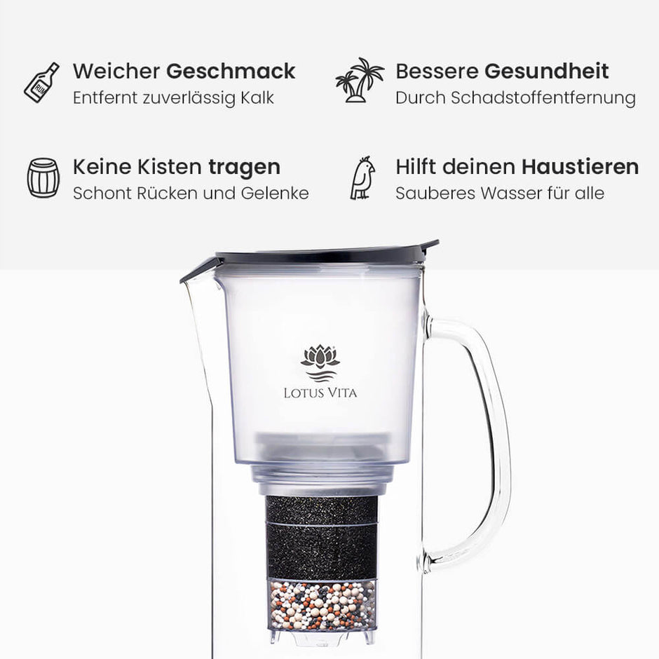 Lotus Vita Wasserfilter Keime